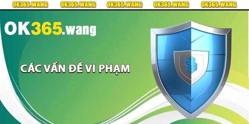 Các vấn đề vi phạm chính sách bảo mật Ok365